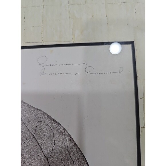 Persimmon Leaf Booker Morey Framed Art Print 13x13 SIGNED RARE - Picture 7 of 9